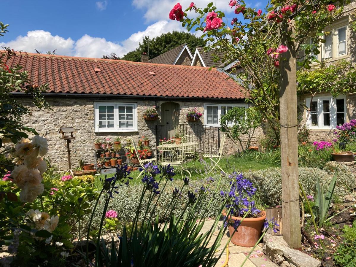 Bed and Breakfast Maplestone Shepton Mallet Exterior foto