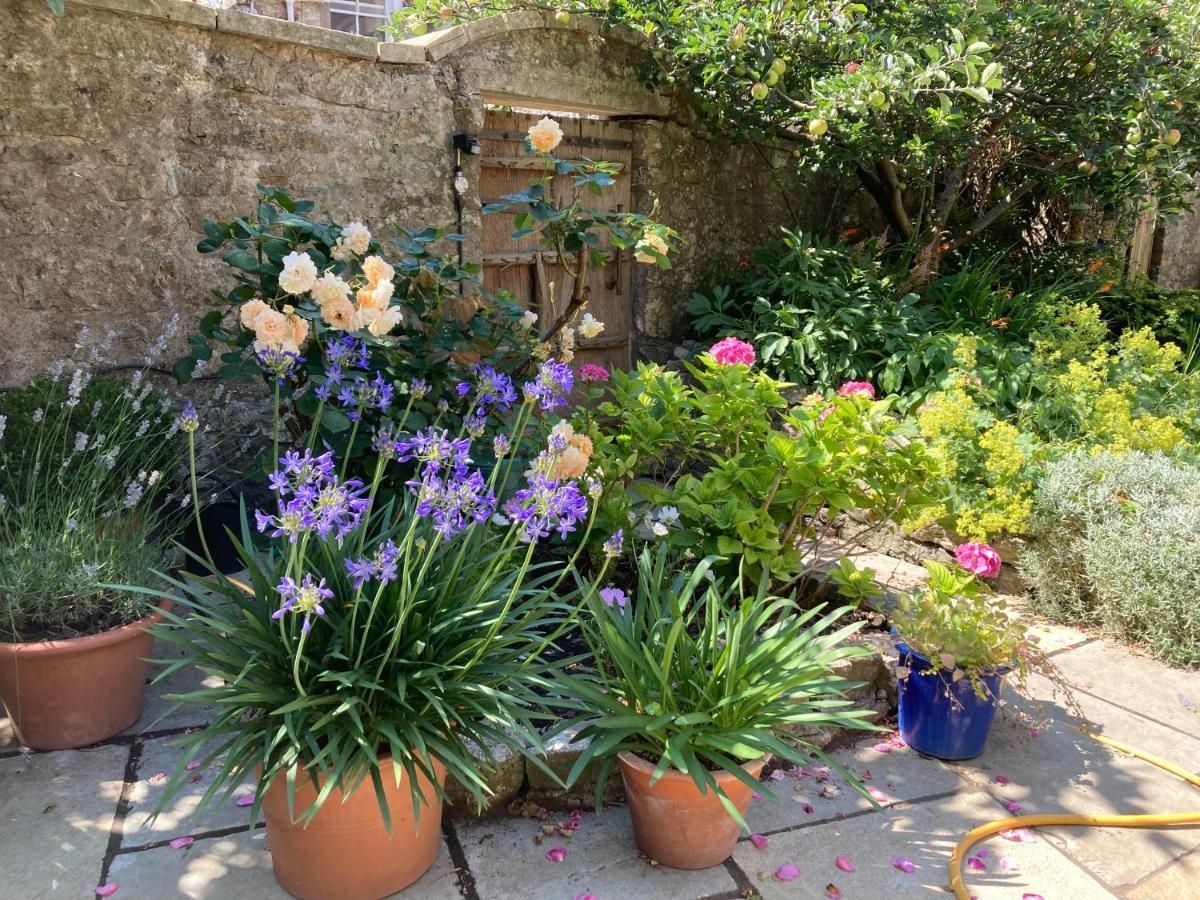 Bed and Breakfast Maplestone Shepton Mallet Exterior foto