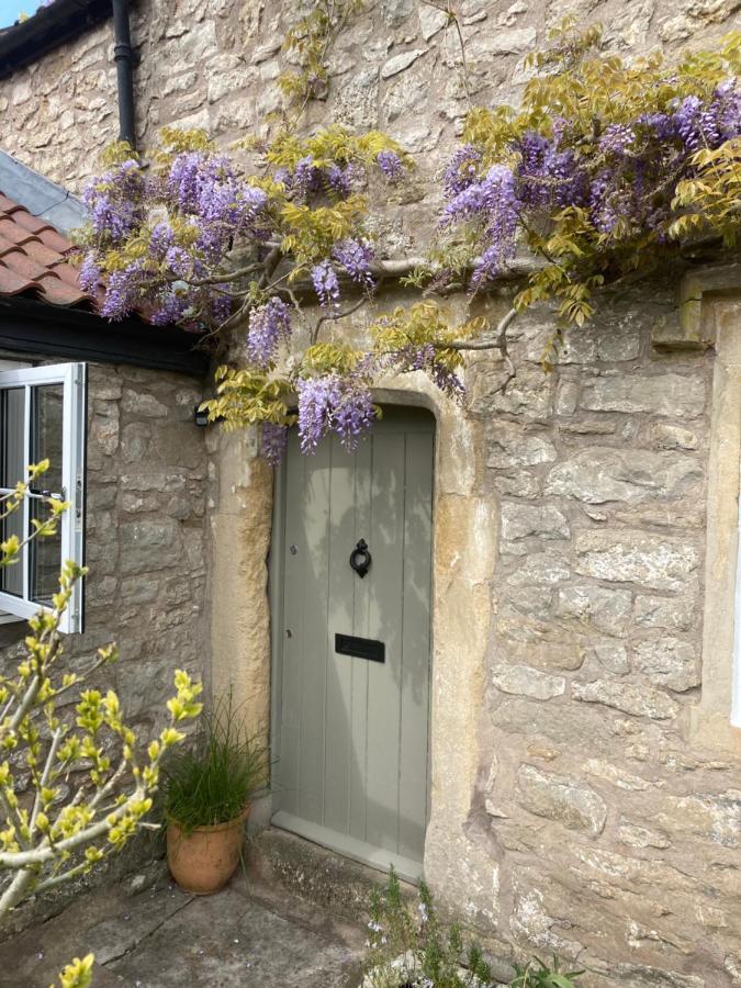 Bed and Breakfast Maplestone Shepton Mallet Exterior foto